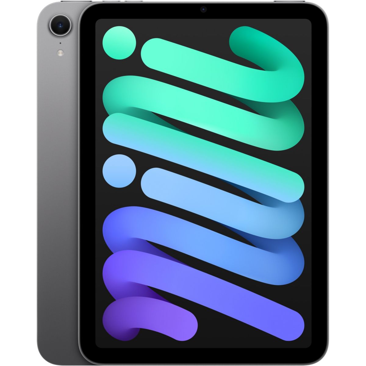 Apple Tablette Ipad Mini 256Go Sidéral Cellular Gris Unique