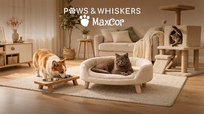 Paws & Whiskers x Maxcor