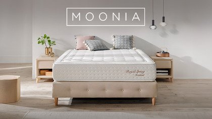 Moonia - MP