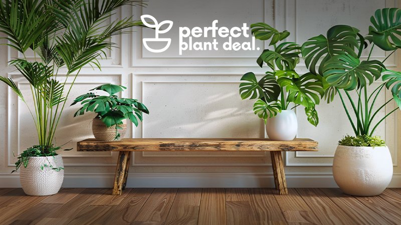 INTÉRIEUR & EXTÉRIEUR