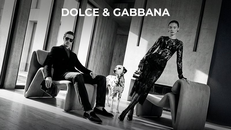 ÉLÉGANCE SANS LIMITE