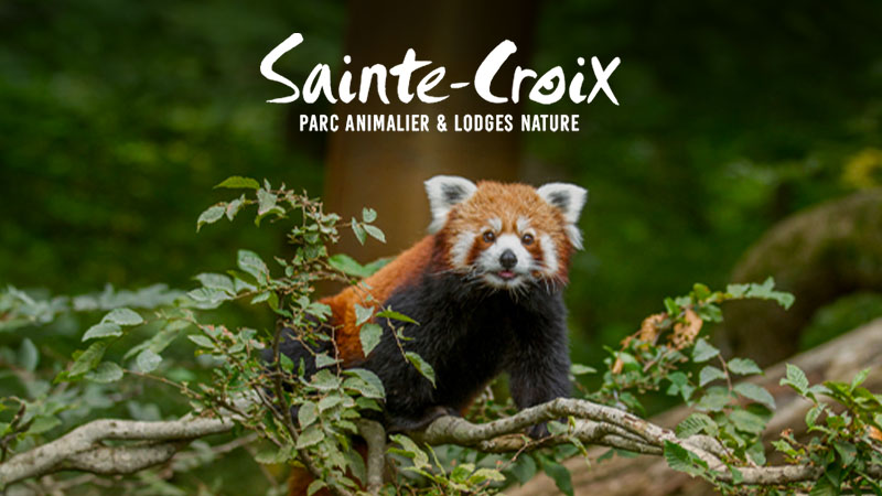 À 1H DE NANCY & STRASBOURG