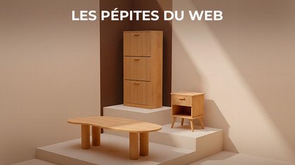 Les Pépites Du Web