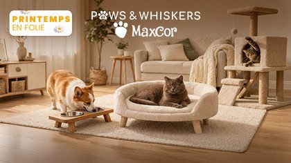 Paws & Whiskers x Maxcor