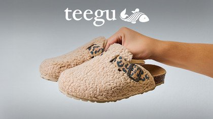 Teegu