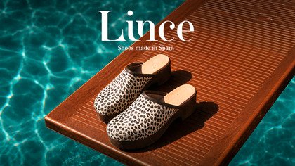 Lince