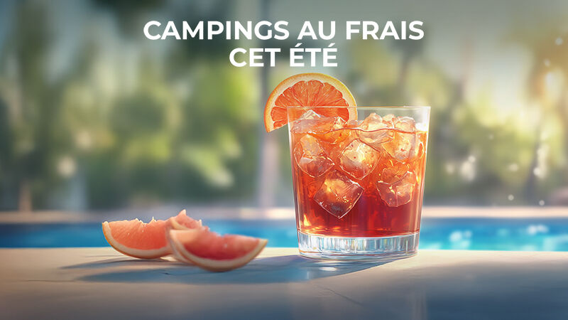MOBIL-HOMES CLIMATISÉS
