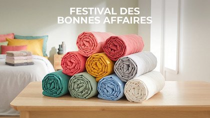 Festival Des Bonnes Affaires