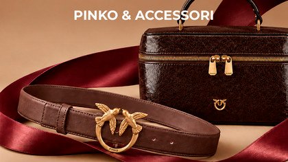 Pinko Bags and Accessories