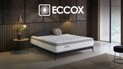 Eccox