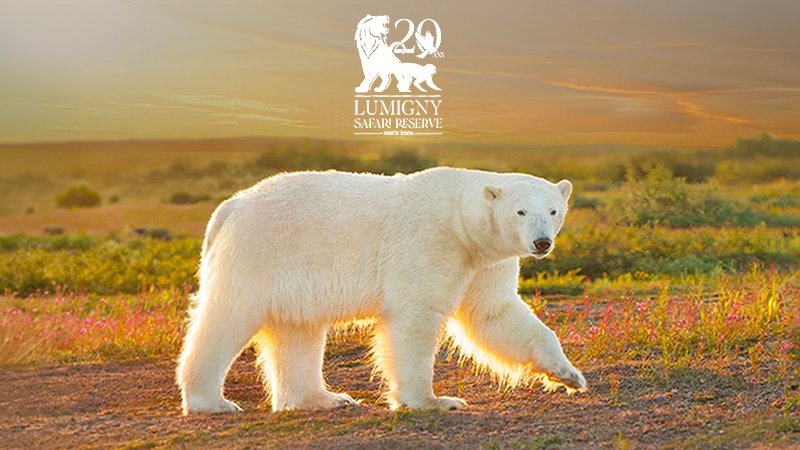 BILLETS ADULTE ET ENFANT