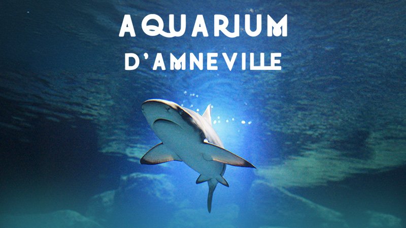 NOUVEAUTÉ !