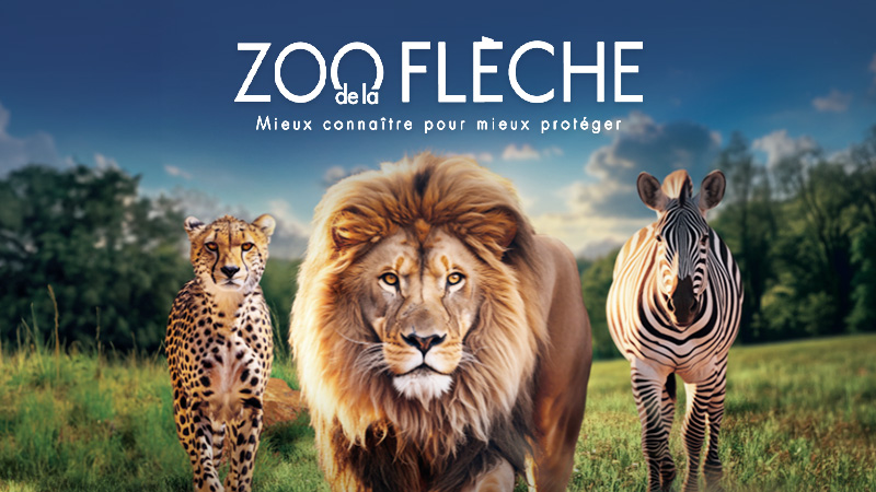 BILLETS 1 JOUR & 2 JOURS