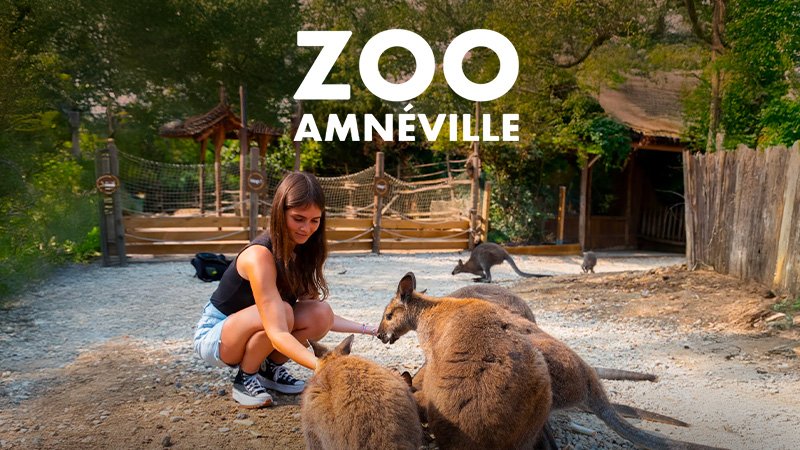 UN DES PLUS BEAUX ZOO DE FRANCE