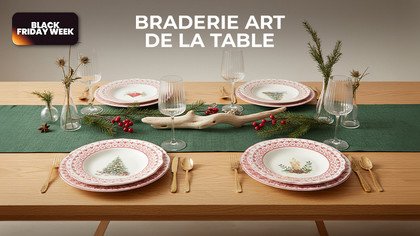 Braderie Art De La Table