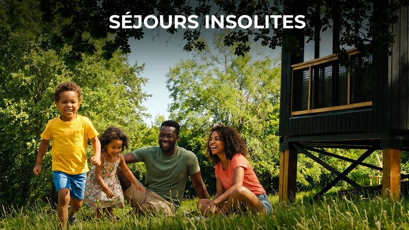 LOGEMENT EN CABANE