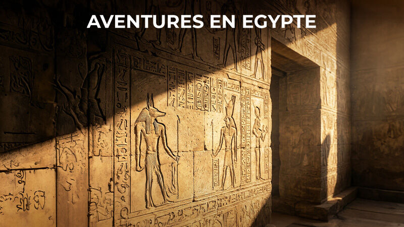 Séjours & découvertes