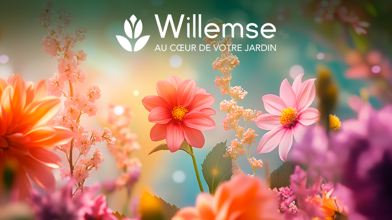 FRUITIERS, ROSIERS ET PLANTES