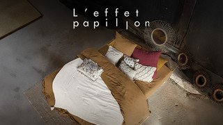 L'effet papillon