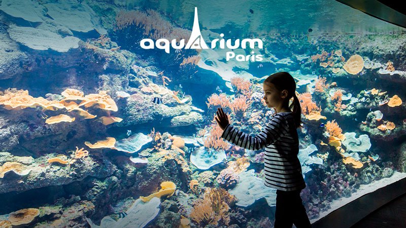 DÉCOUVREZ LA MAGIE DE L’OCÉAN EN SOIRÉE !