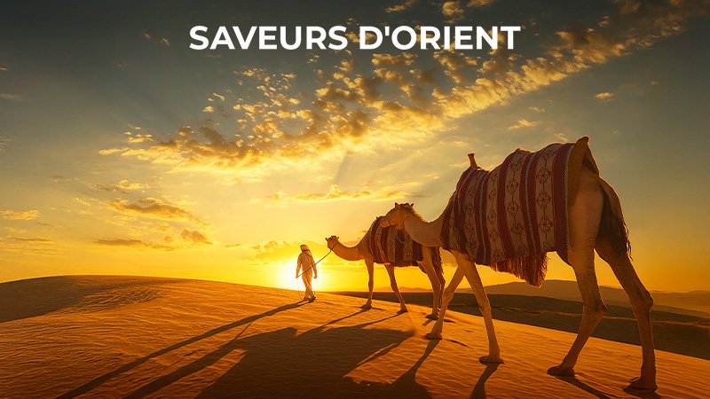 DUBAI, TURQUIE, EGYPTE...