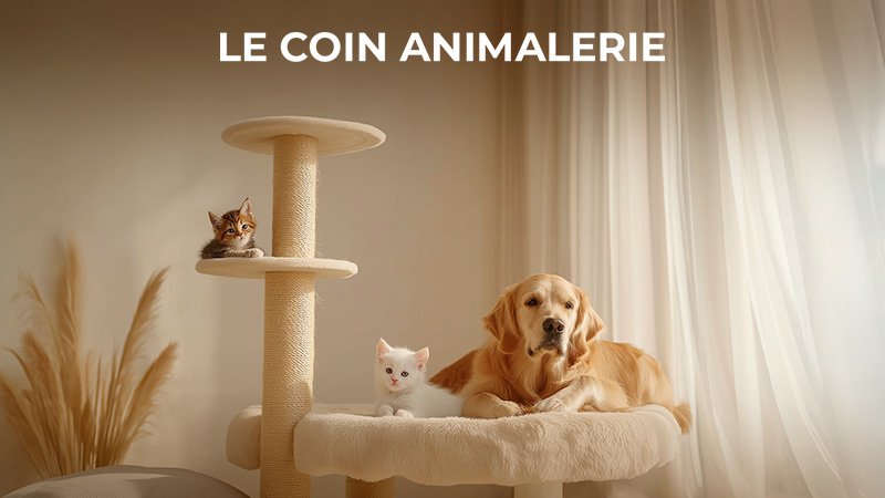CHIENS, CHATS & RONGEURS