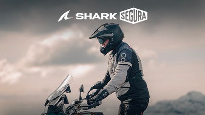  Shark, Bering & Segura