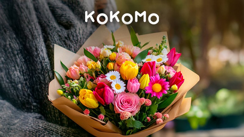 LIVRAISON PARTOUT EN FRANCE EN 24H