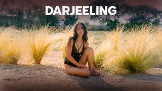 Darjeeling & Andere Merken
