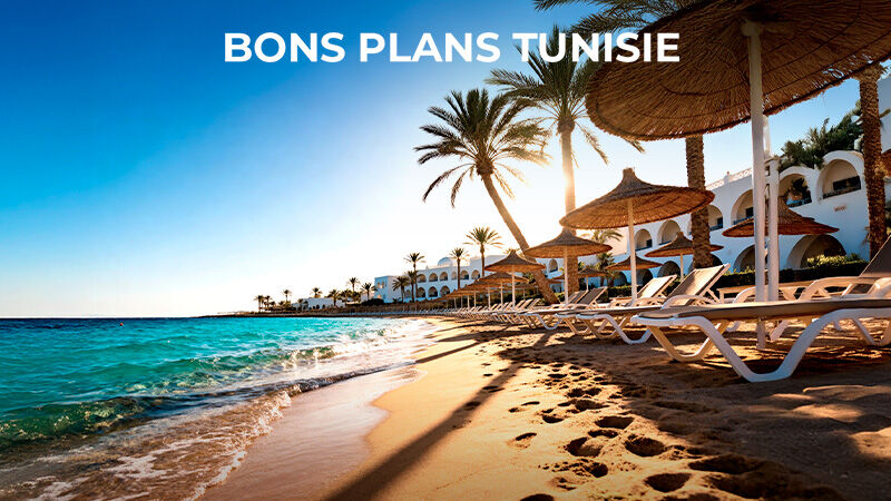 Semaine à partir de 319 €