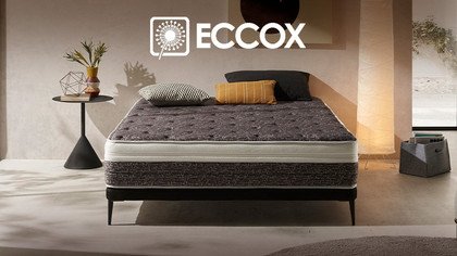 Eccox - MP