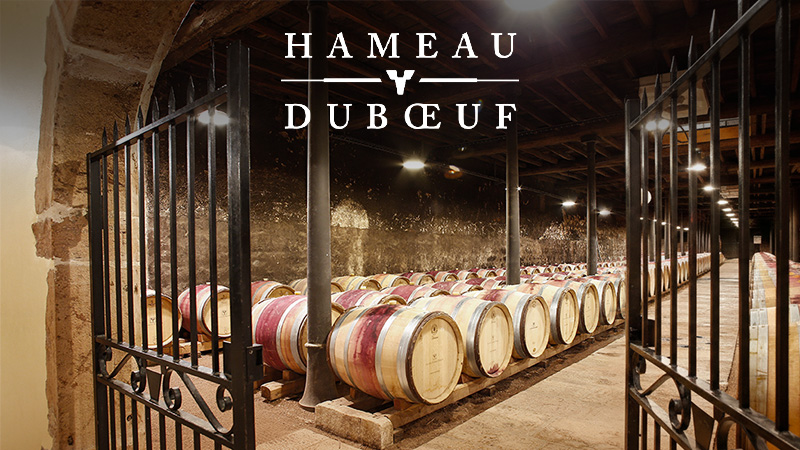 PARC A THEME SUR LA VIGNE ET LE VIN