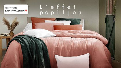 L'Effet Papillon