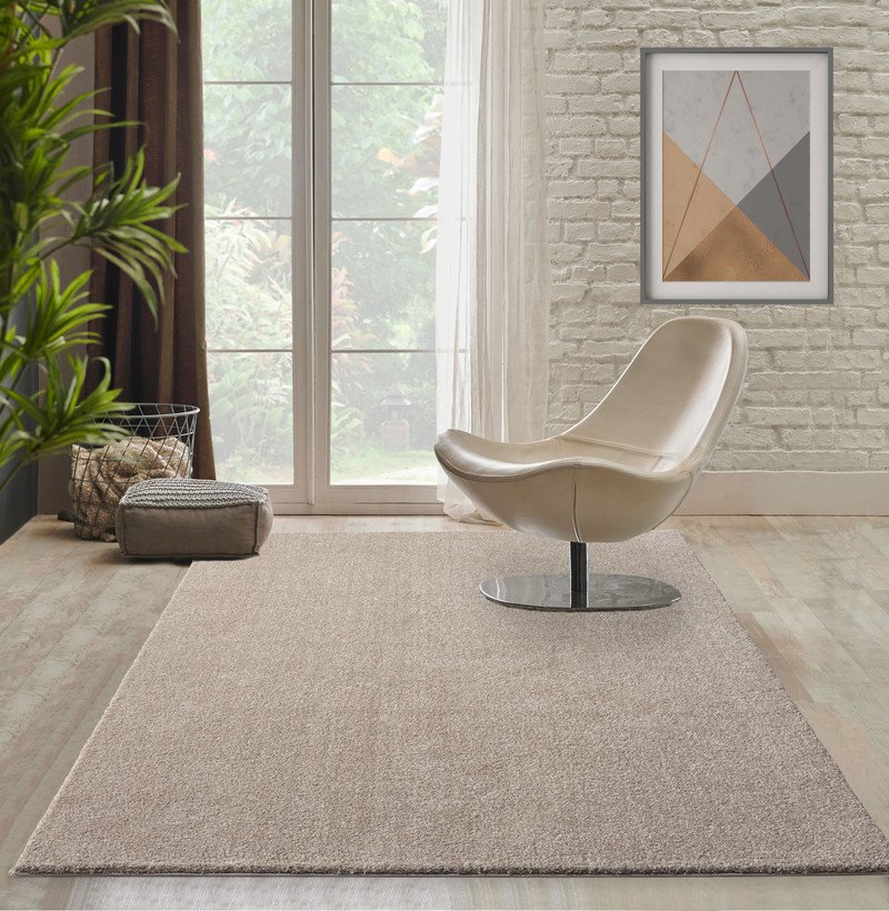 the carpet Grande Tapis de salon moderne moelleux et dense à poils courts, élégant et facile d'entretien, Beige, 80 x 150 cm - 27203 -