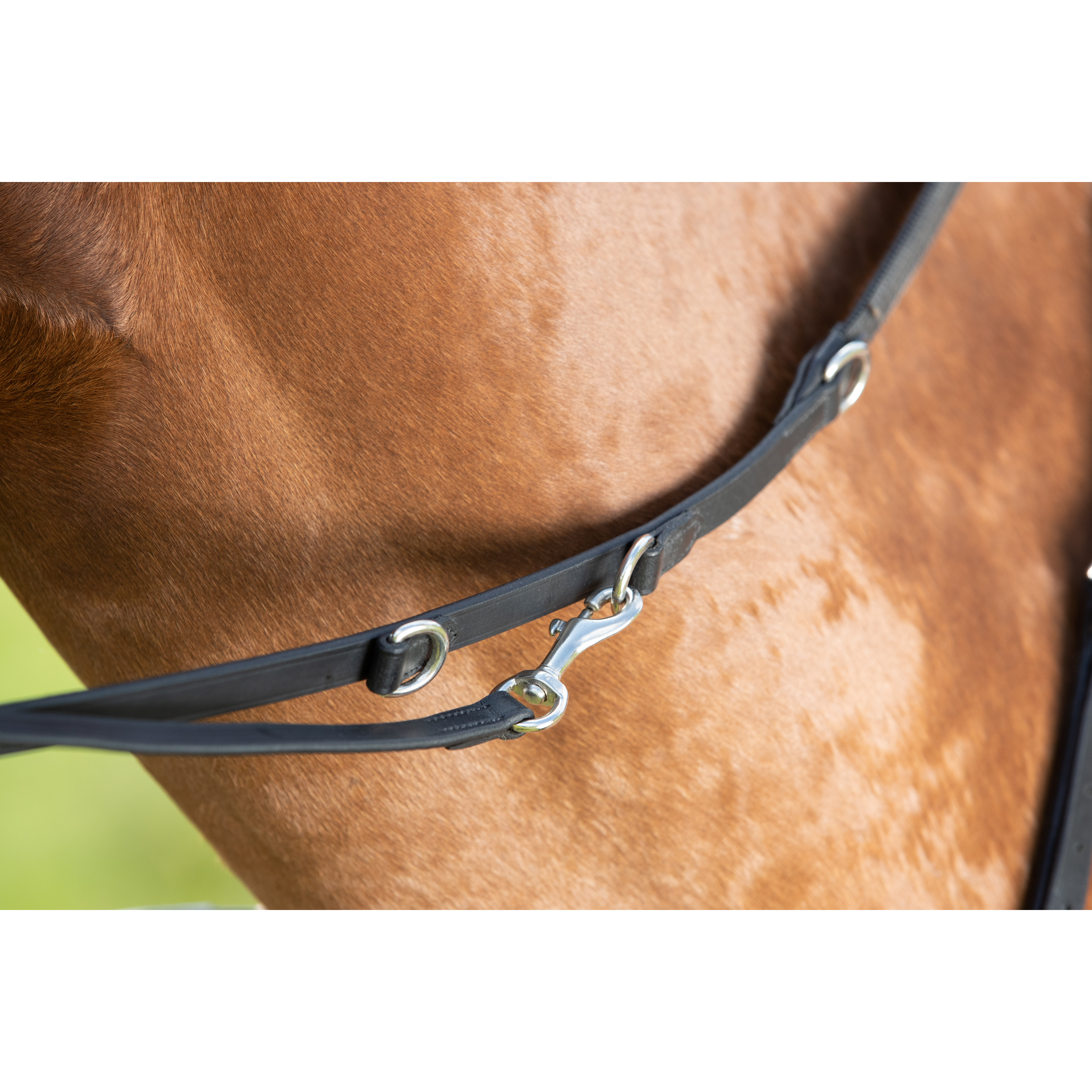 Hfi Rênes pour cheval HFI Thiedeman