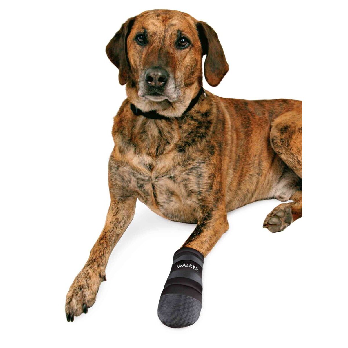 Trixie Lot de 2 paires de protège-pattes pour chien Trixie Walker Care
