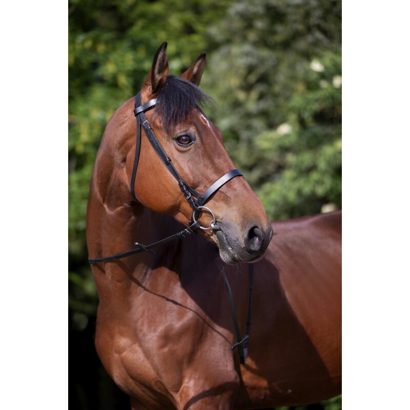 Riding World Bridons équitation Riding World Muserolle Française