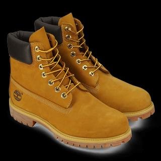 Timberland modelo Premium 6 I MARRON CLARO