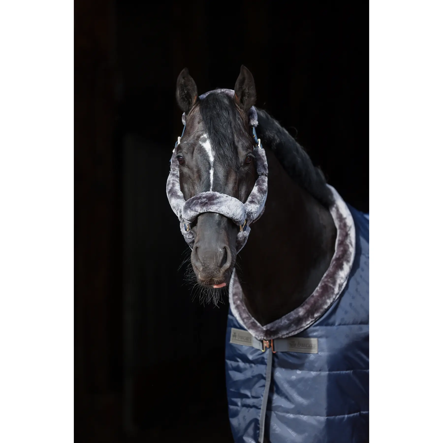 Bucas Licol pour cheval en fourrure intégrale Bucas Show-Line