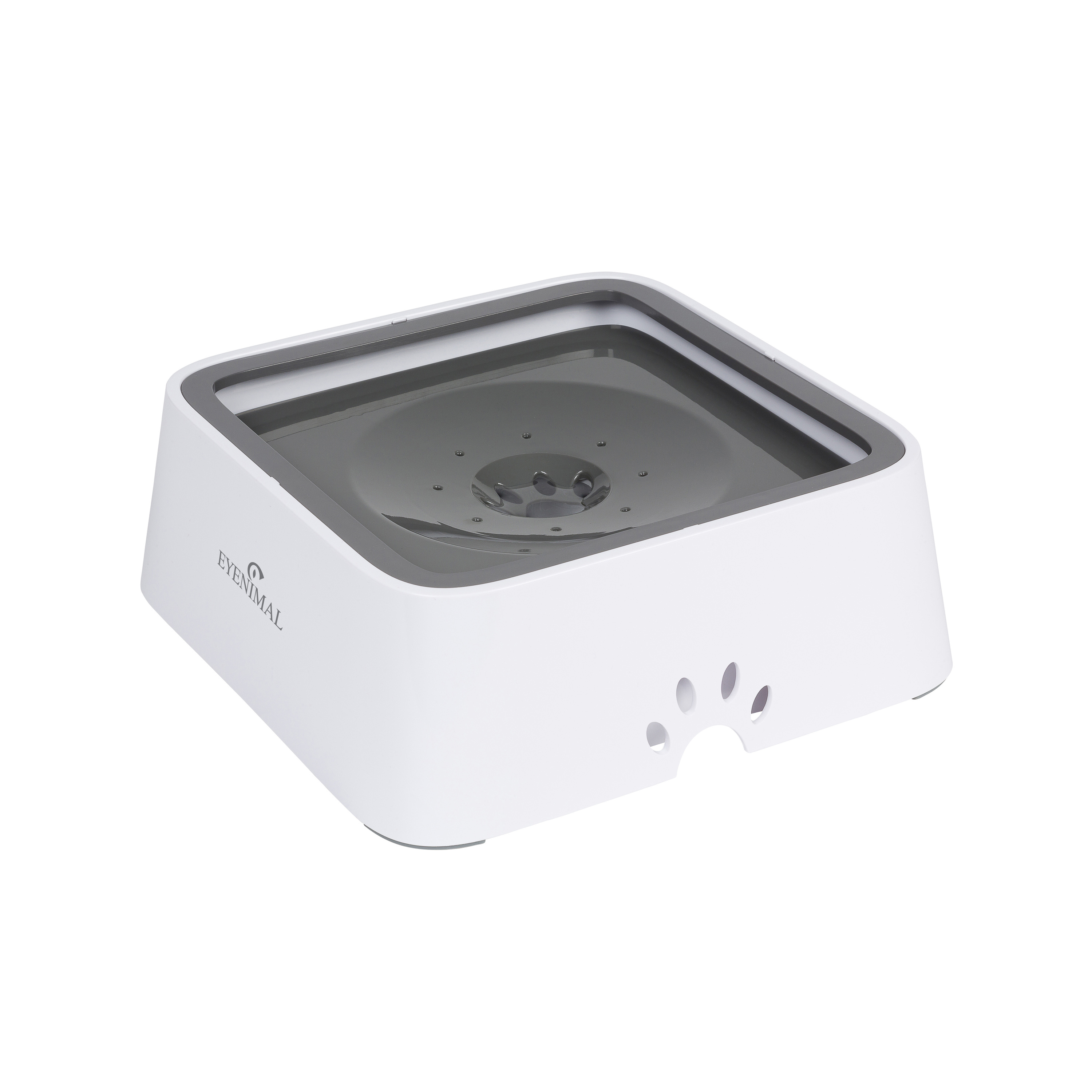 Eyenimal Fontaine à eau pour chien anti-éclaboussures Eyenimal